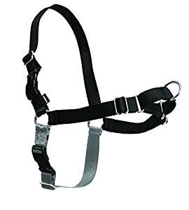 PetSafe Easy Walk PetSafe Easy Walk
