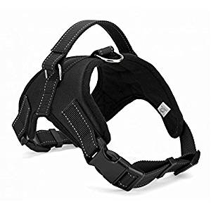 Wiggle Tail Harness Wiggle Tail Harness
