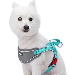 Bingpet Harness Bingpet Harness