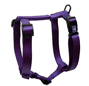 Blueberry Harness Standard Blueberry Harness Standard