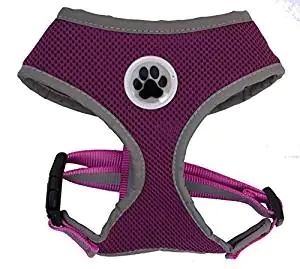Blueberry Neoprene Harness Blueberry Neoprene Harness