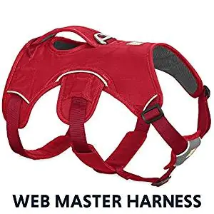 Ecobark Harness Ecobark Harness