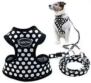 KOOLTAIL Dog Harness KOOLTAIL Dog Harness