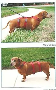 Lanyar Harness Lanyar Harness