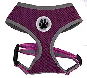 Pet Club Harness Pet Club Harness