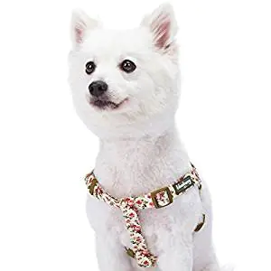 PetSafe Easy Walk PetSafe Easy Walk