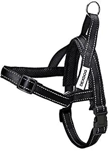 Ruffwear Web Master Secure Ruffwear Web Master Secure