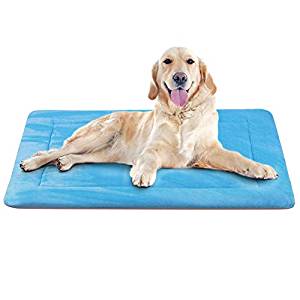 JoicyCo Dog Bed Large Crate Pad Soft Mat 35/42/47 in- 100% Machine Washable Anti-Slip Fleece Mattress JoicyCo Dog Bed Large Crate Pad Soft Mat 35/42/47 in- 100% Machine Washable Anti-Slip Fleece Mattress