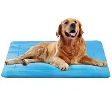 JoicyCo Dog Bed Large Crate Pad Soft Mat JoicyCo Dog Bed Large Crate Pad Soft Mat