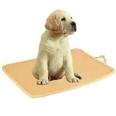 Kimi Homes Antibacterial & Anti-Mold Dog Crate Pad Kimi Homes Antibacterial & Anti-Mold Dog Crate Pad