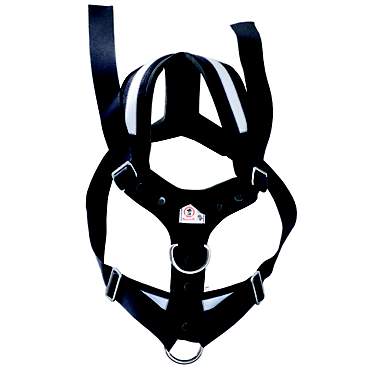 AllSafe Dog Car Harness AllSafe Dog Car Harness