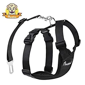 AllSafe Dog Car Harness AllSafe Dog Car Harness