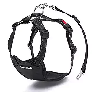 DOGJOG Dog Harness DOGJOG Dog Harness