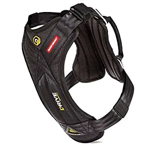 EzyDog Harness EzyDog Harness