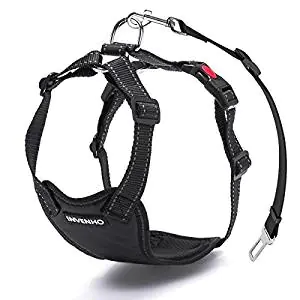 Ruffwear Vehicle Harness Ruffwear Vehicle Harness