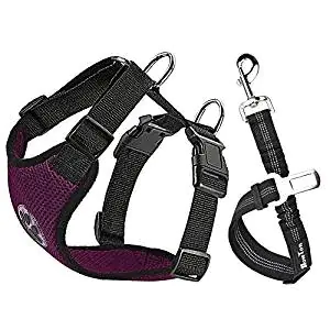Slowton Dog Car Harness Slowton Dog Car Harness