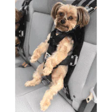 ZuGoPet Dog Harness ZuGoPet Dog Harness