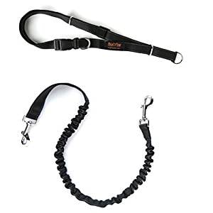 Mighty Paw Running Leash Mighty Paw Running Leash
