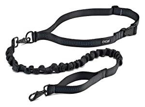 Stunt Puppy Runner Leash Stunt Puppy Runner Leash