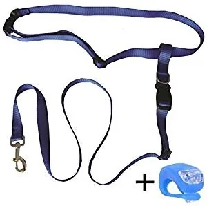 Road Runner Dog Leash Road Runner Dog Leash