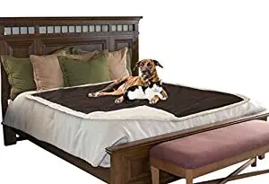 Pawsse Waterproof Dog Blanket,Pet Pee Proof Cover Throws for Couch Bed Sofa Car Seat Pawsse Waterproof Dog Blanket,Pet Pee Proof Cover Throws for Couch Bed Sofa Car Seat