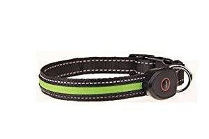 AllBright LED Collar AllBright LED Collar
