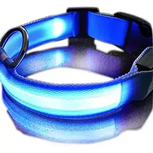 ASX Design Sukragraha Safety LED Collar ASX Design Sukragraha Safety LED Collar