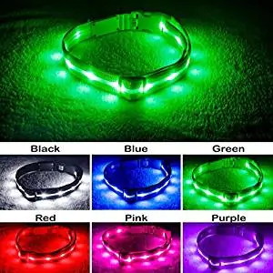 BSeen LED Collar BSeen LED Collar