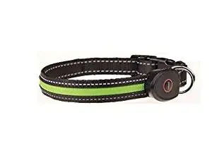 Fashion&Cool LED Collar Fashion&Cool LED Collar