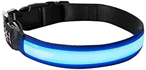 Fur Bebe LED Collar Fur Bebe LED Collar