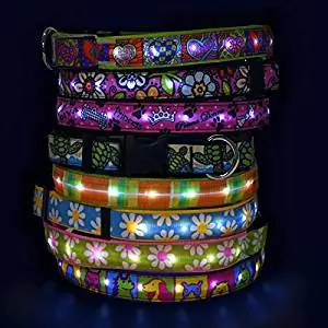 Hot Dog LED Collar Hot Dog LED Collar