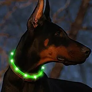 Illumifun LED Collar Illumifun LED Collar