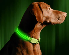 Illumiseen LED Collar Illumiseen LED Collar