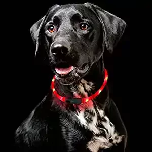 ITERY Waterproof LED Collar ITERY Waterproof LED Collar