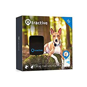 dog collar tracking system