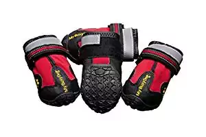 My Busy Dog Water Resistant Shoes My Busy Dog Water Resistant Shoes