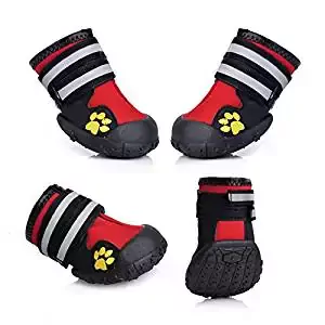 Prumya Dog Boots Prumya Dog Boots