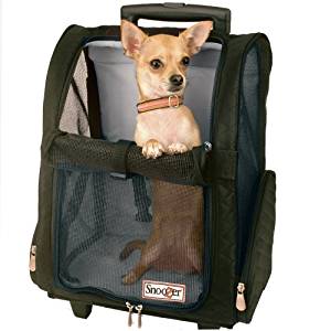 Snoozer Roller Backpack Carrier Snoozer Roller Backpack Carrier