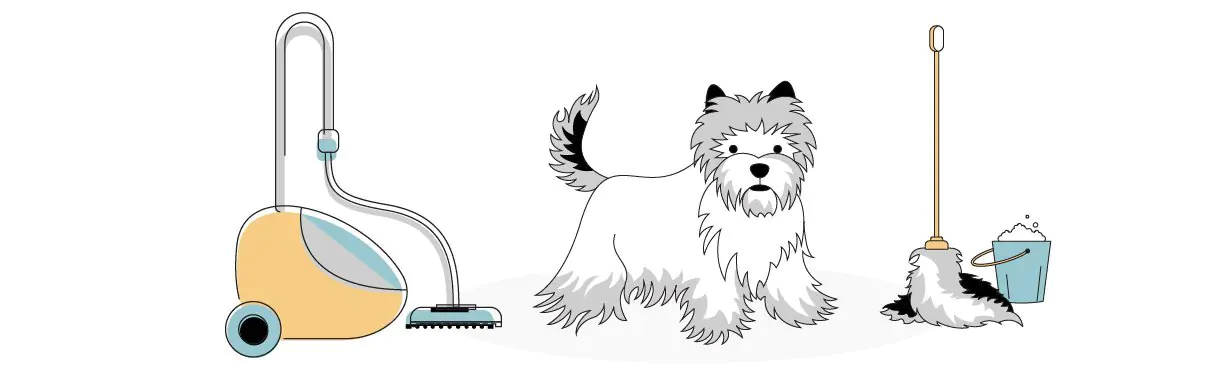 Best Vacuum for Pet Hair
