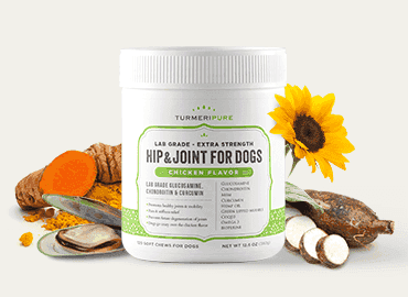 Turmeripure Lab Grade Glucosamine Chondroitin Turmeripure Lab Grade Glucosamine Chondroitin
