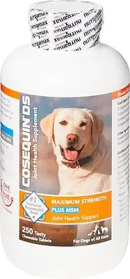 Nutramax Cosequin DS Plus with MSM Chewable Tablets Nutramax Cosequin DS Plus with MSM Chewable Tablets