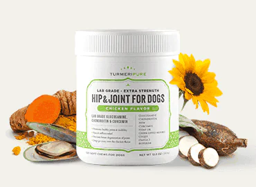 Turmeripure Lab Grade Glucosamine Chondroitin Turmeripure Lab Grade Glucosamine Chondroitin