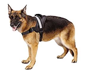 big dog harness no pull adjustable