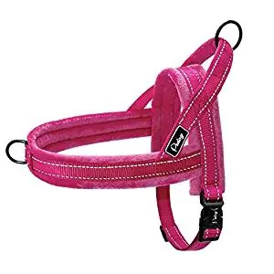 Didog Soft Padded Harness Didog Soft Padded Harness