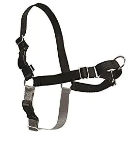PetSafe Easy Walk Harness PetSafe Easy Walk Harness