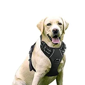 Free Lead Included Best for Training Walking LUXURY No Pull Dog Harness for Small Medium Large Dog Breathable Adjustable Comfort RED, MEDIUM