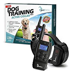 garmin pet trainer