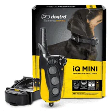 top rated e collar for dogs