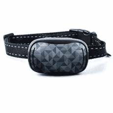 dog training shock collar amazon