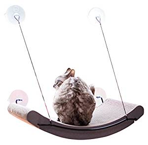 cat window perch suction cups